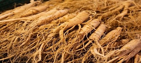 Panax Ginseng के साथ क्या खाना नहीं खा सकते हैं?